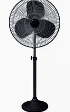 Fan